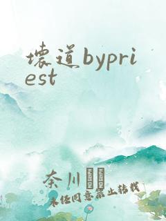坏道bypriest