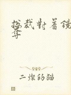 总裁对着镜子掠夺