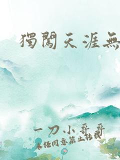 独闯天涯无弹窗