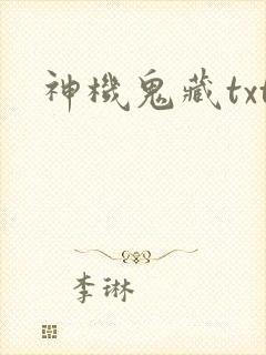 神机鬼藏txt