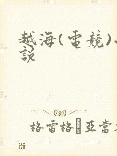 越海(电竞)小说