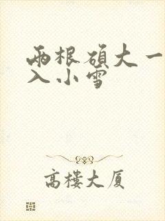 两根硕大一起挤入小雪