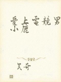 爱上电竞男神林小鹿