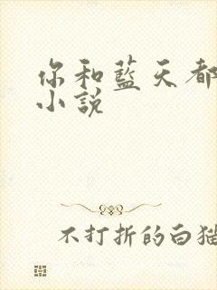 你和蓝天都重要小说