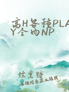 高H各种PLAY全肉NP
