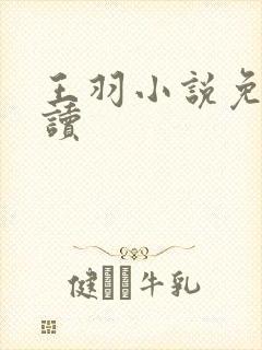 王羽小说免费阅读