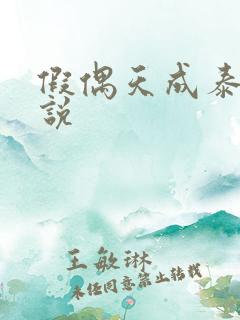 假偶天成泰剧小说