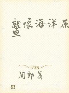 就像海洋原谅了鱼