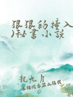 狠狠的撞入(h)秘书小说