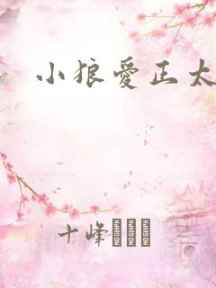 小狼爱正太