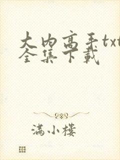 大内高手txt全集下载