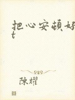 把心安顿好txt
