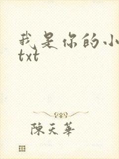 我是你的小小狗txt