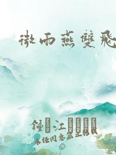 微雨燕双飞小说