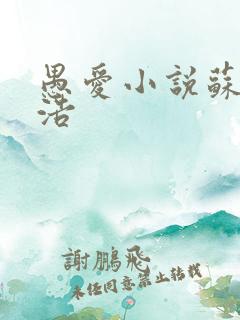 愚爱小说苏倩孙浩