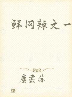 鲜网辣文一对一