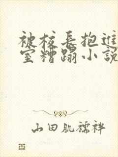 被校长抱进办公室糟蹋小说