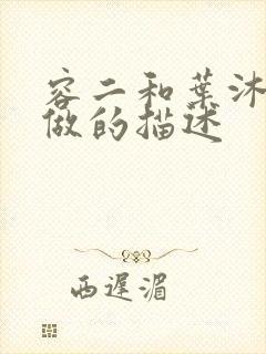 容二和叶沐走着做的描述