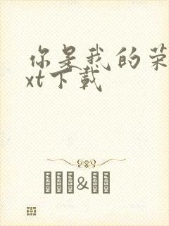 你是我的荣耀txt下载