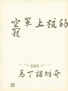 空军上校的邪魅宠