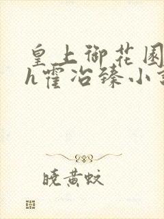 皇上御花园hlh霍冶臻小说