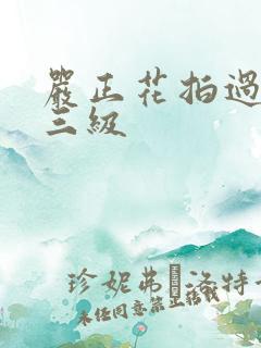 严正花拍过什么三级