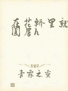 在花轿里就开始圆房h