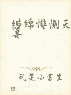 缠绵悱恻天价前妻