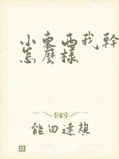 小东西我干的你怎么样