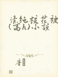 清纯校花被调教(高h)小说