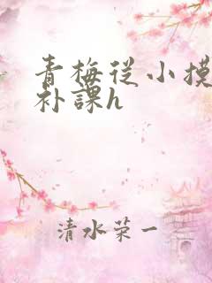 青梅从小摸到大补课h
