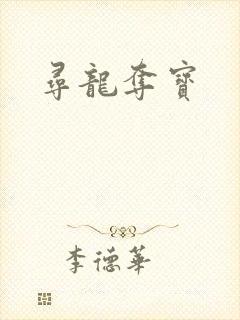寻龙夺宝