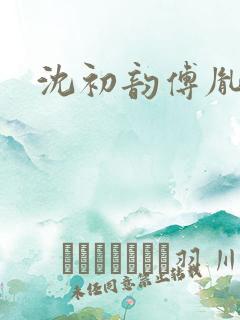 沈初韵傅胤小说