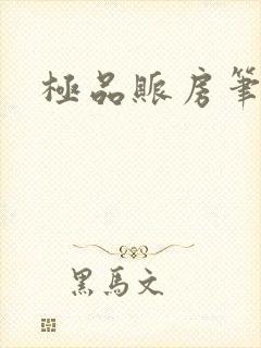 极品账房笔趣阁