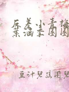 反差小青梅不经叶涵季园园