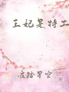 王妃是特工