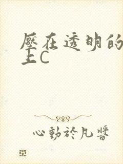 压在透明的玻璃上C