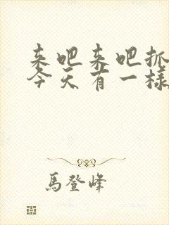 来吧来吧抓紧点今天有一样好东西