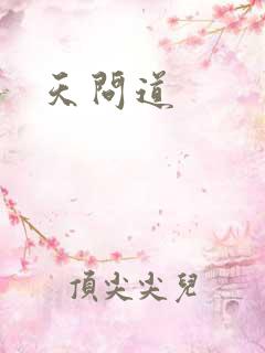天问道