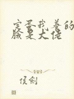 完蛋我养的小白脸是大佬