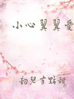 小心翼翼爱上你