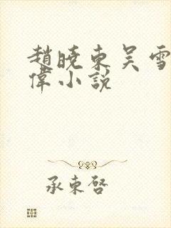 赵晓东吴雪晴郑伟小说