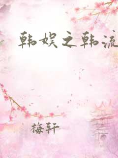 韩娱之韩流全球