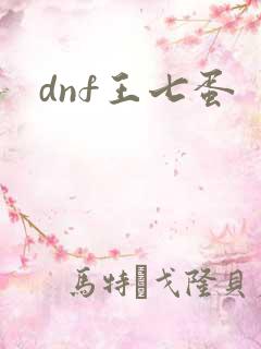 dnf王七蛋