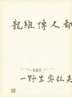 龙组传人都市行