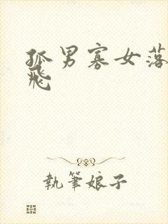 孤男寡女落瑛纷飞