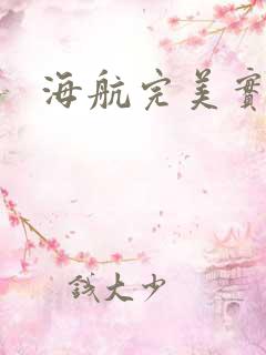 海航完美实习生