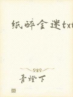 纸醉金迷txt