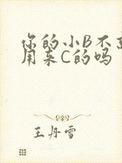 你的小B不就是用来C的吗