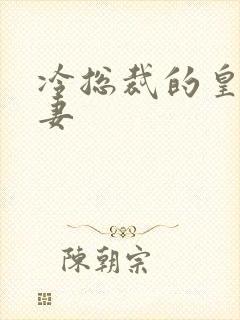 冷总裁的皇后暖妻